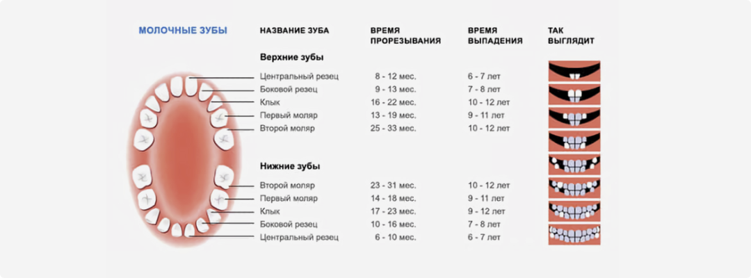 Причины выпадения молочных зубов: основные факторы